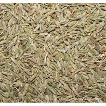 2015 New Crop Healthy (ISO) Cumin Seeds